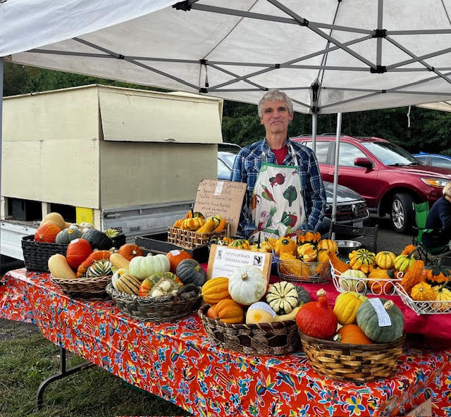 Harvest Gourds 